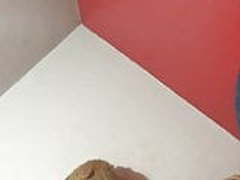 Ardilla bisexual 2 HD | xvideosearch.com