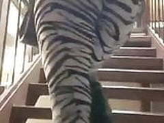 Puta rumbo Al hotel con su cliente Online | xvideosearch.com